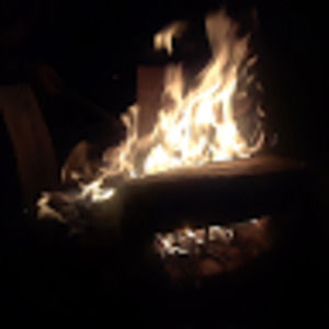 Meet your Posher, Ashleigh